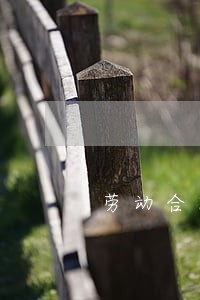 劳动合同法 竞业禁止 劳动合同法 竞业禁止